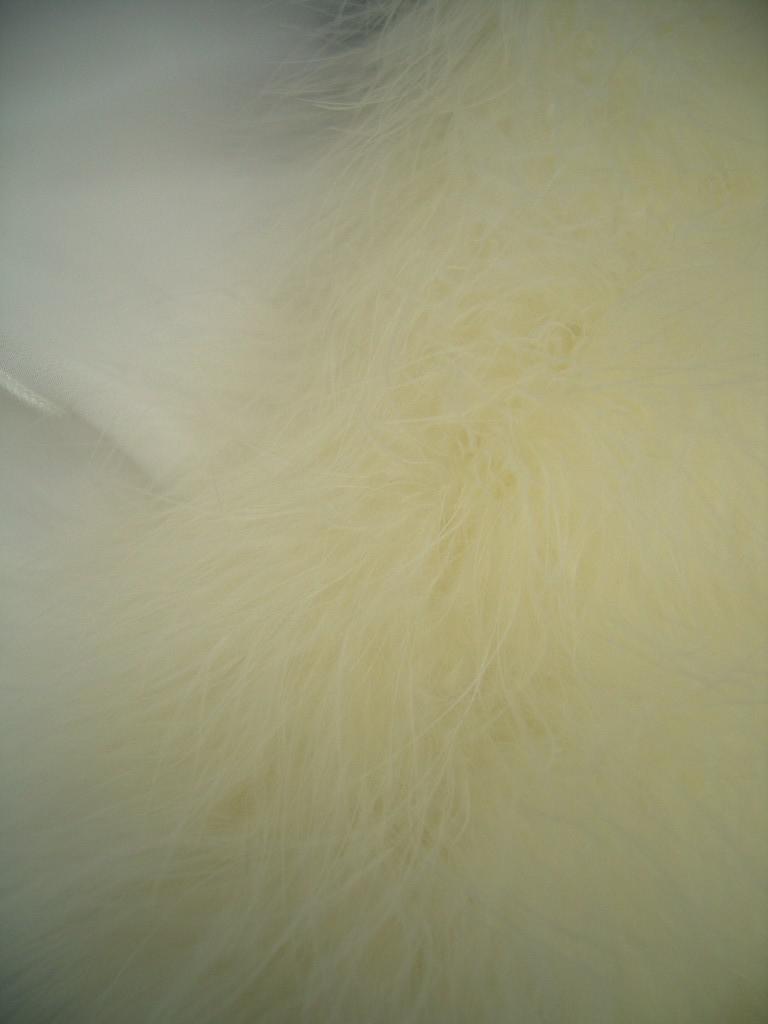 2W2152a