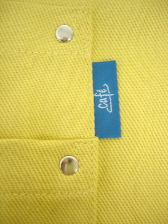 AYE1231a