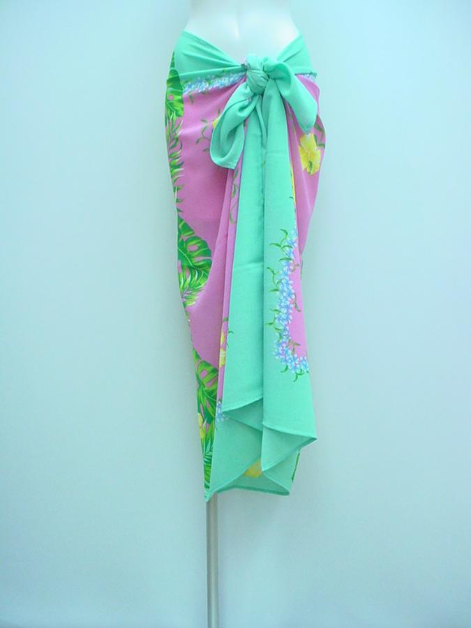 paREoPI172a
