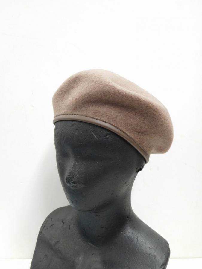 hatBRG281d