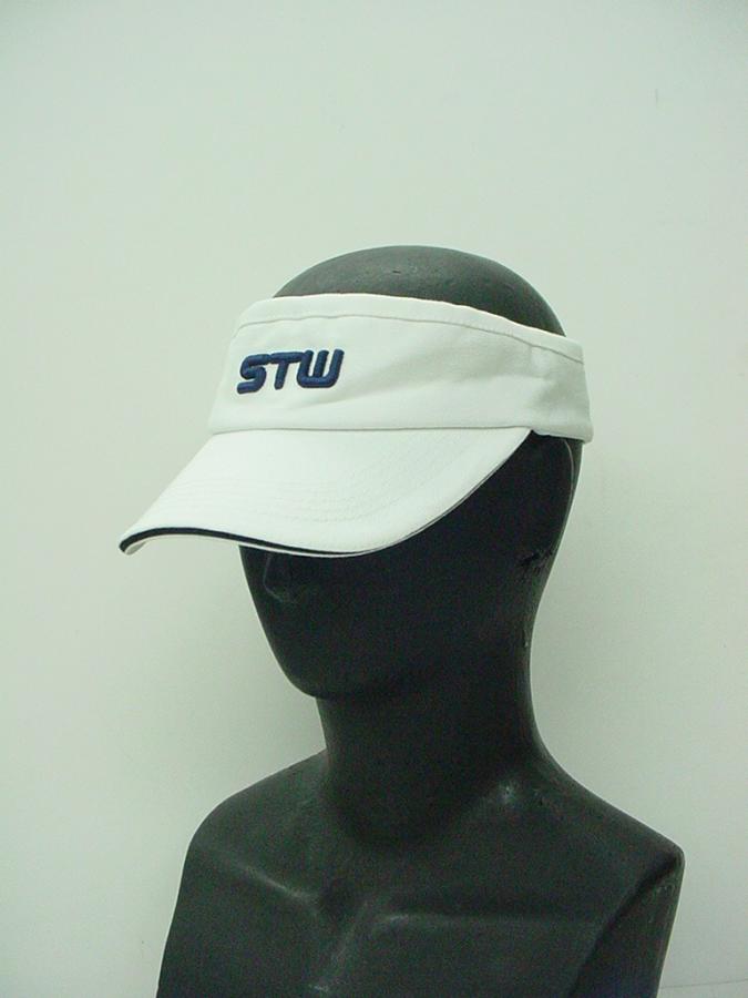 SsunvisWU3d