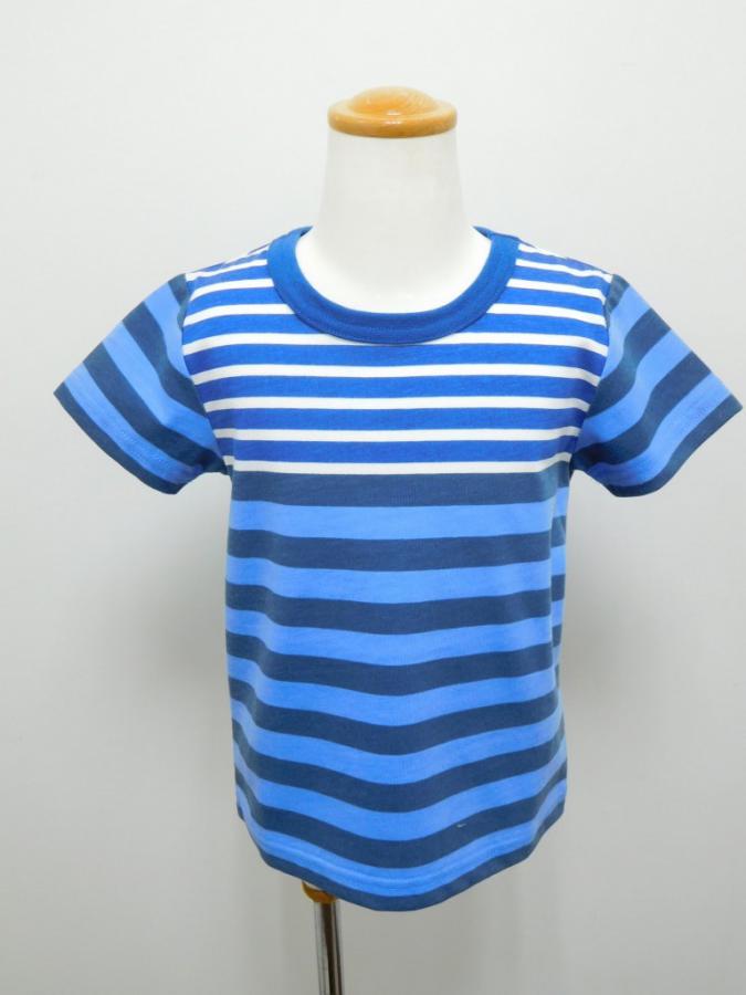 TBLU254d