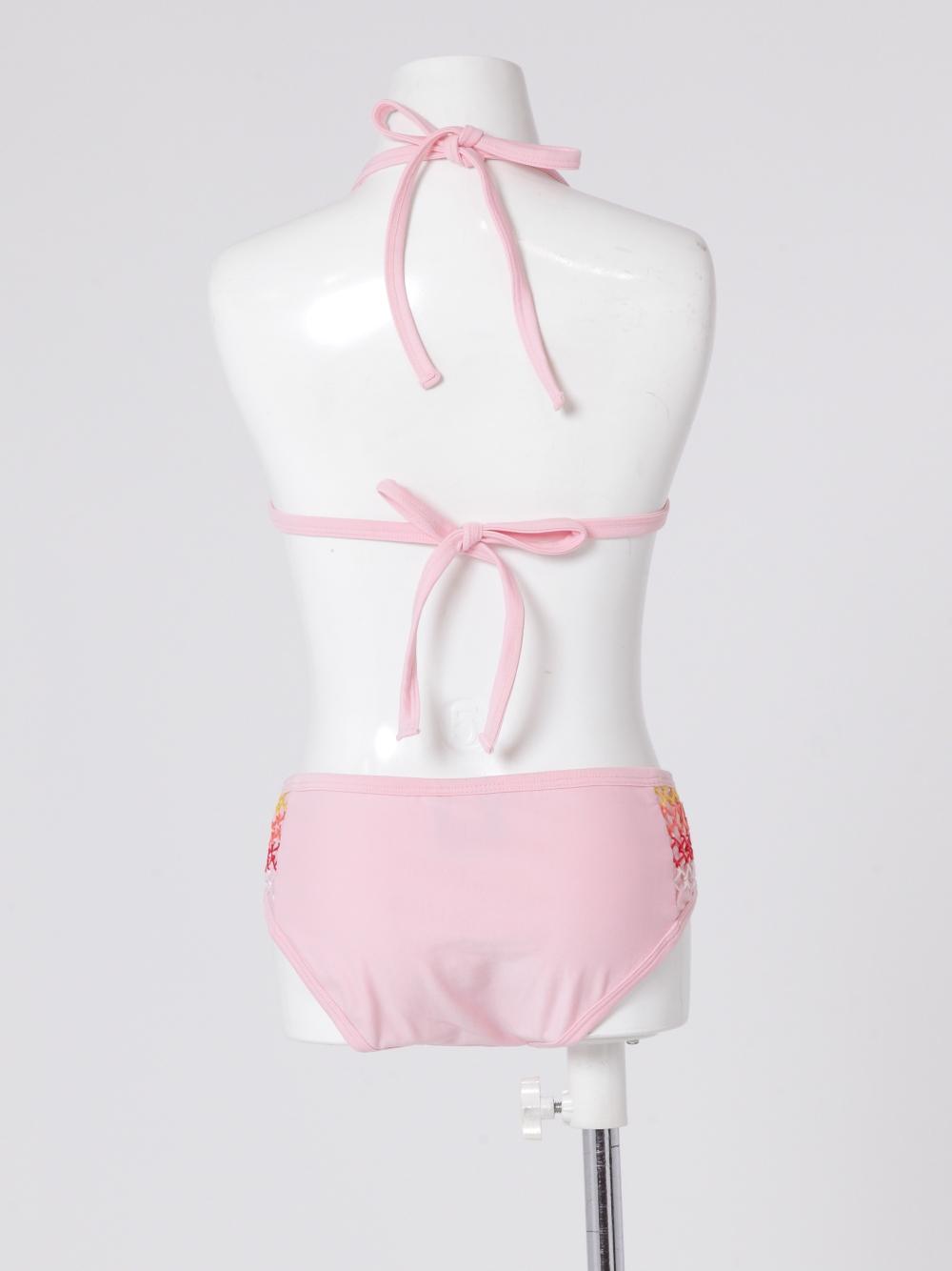 swimPIG93d