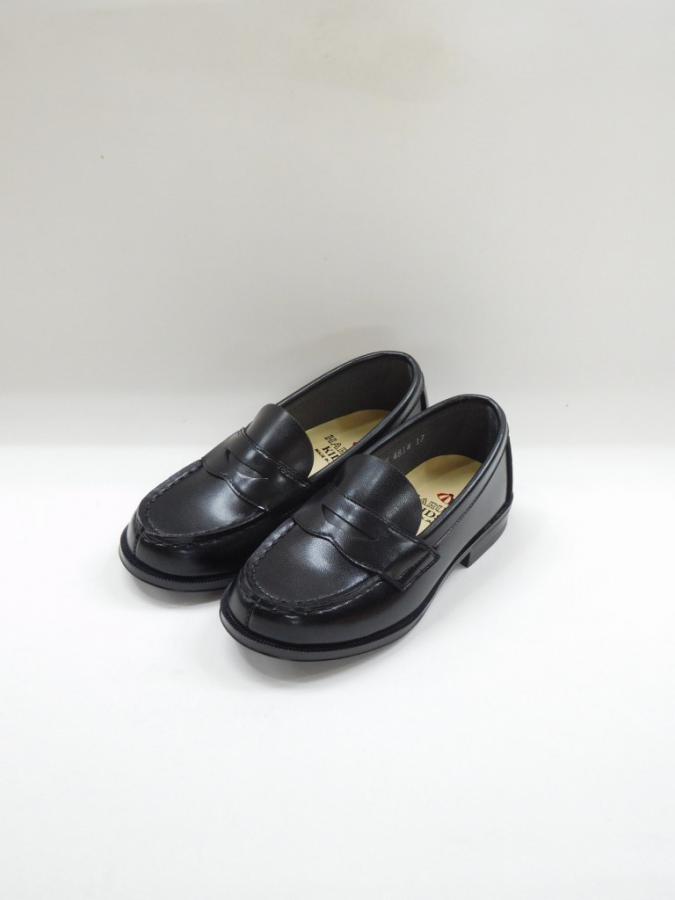 13PBU339d