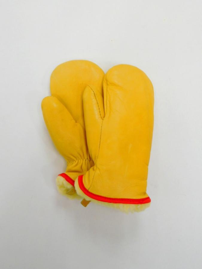 gloveBRU5d