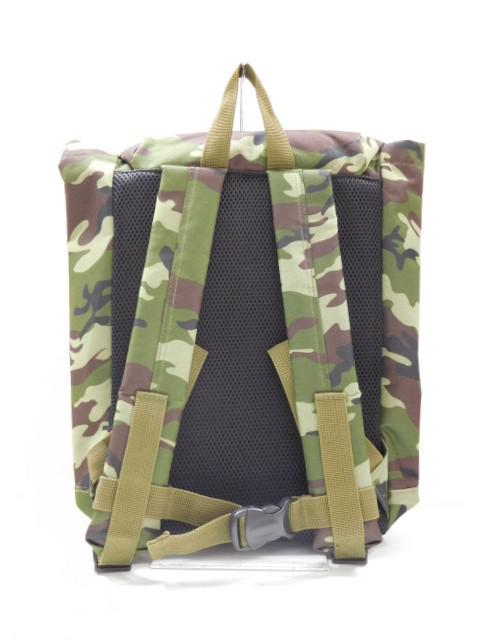 BAGGRU157d
