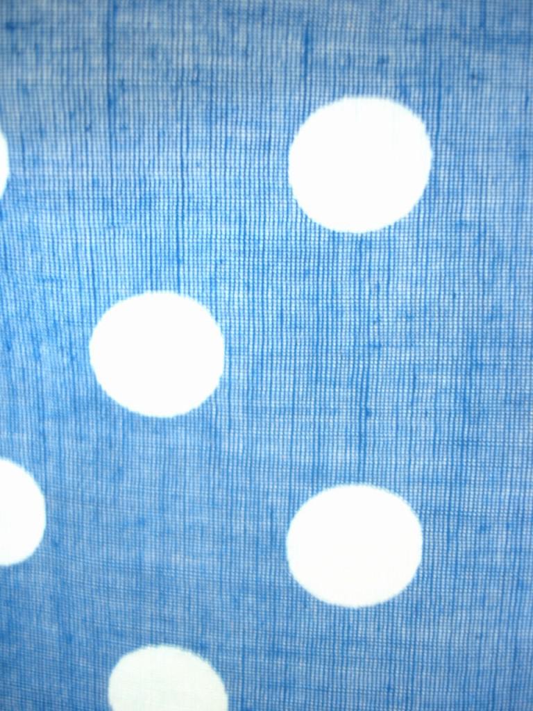 SBBLU17d