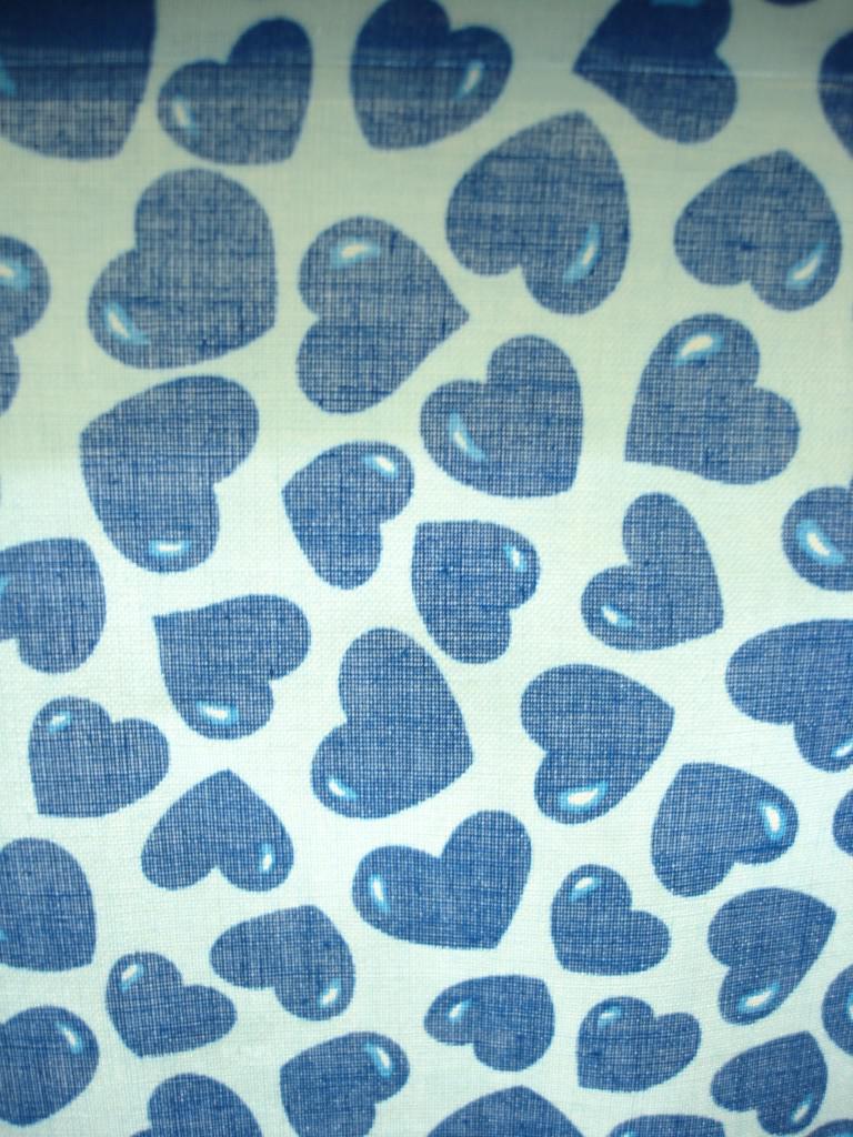 SBBLU24d