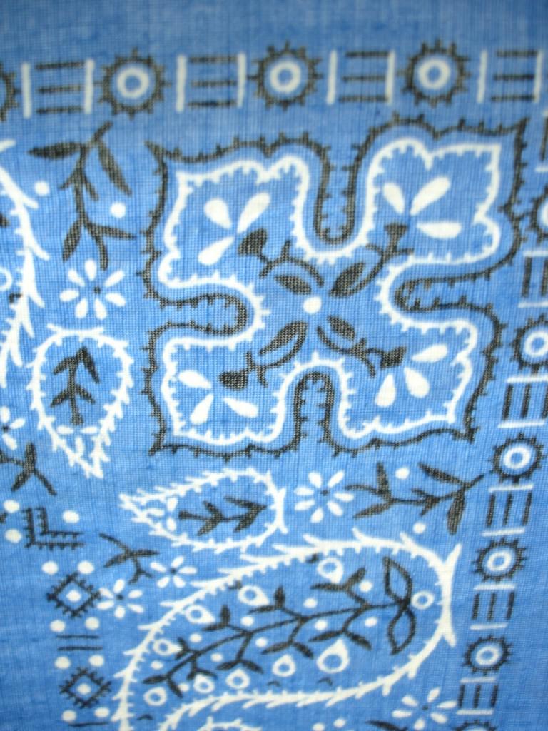 SBBLU29d