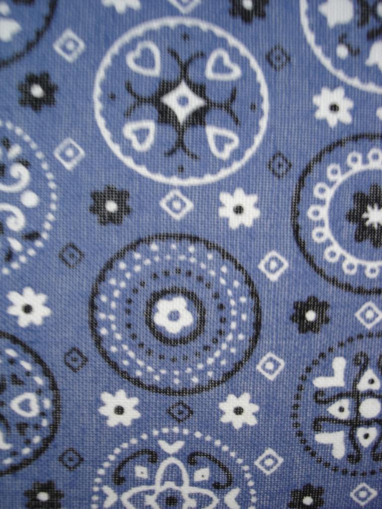 SBBLU46d