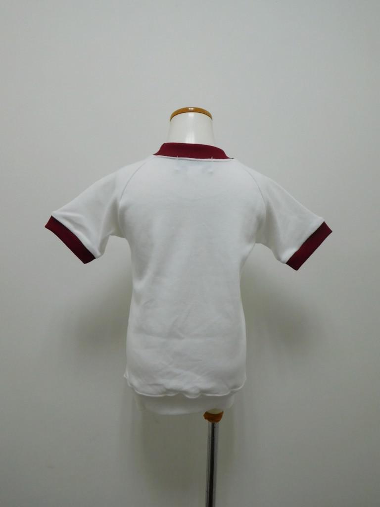 SgakTWU21d