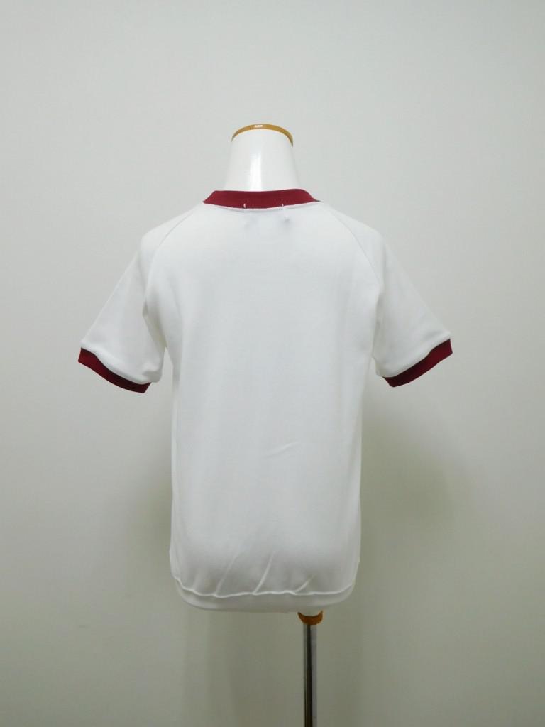 SgakTWU34d