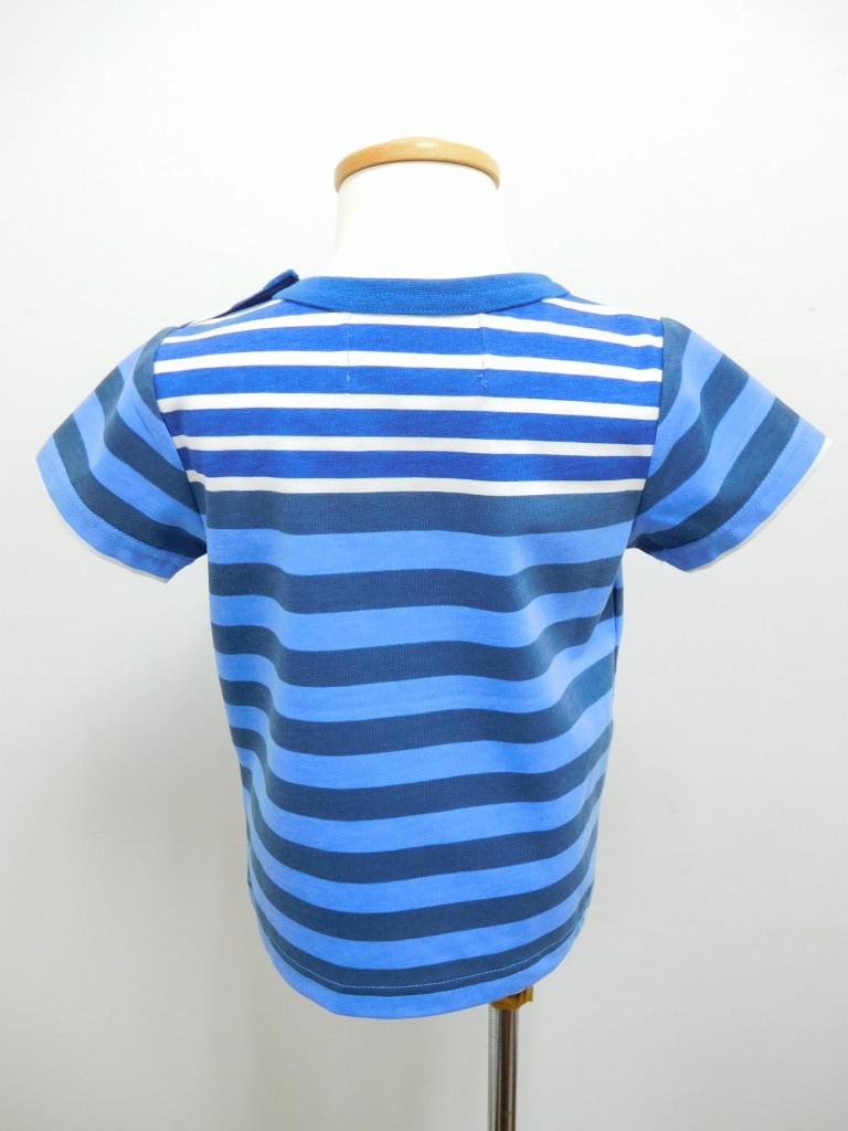 TBLU253d