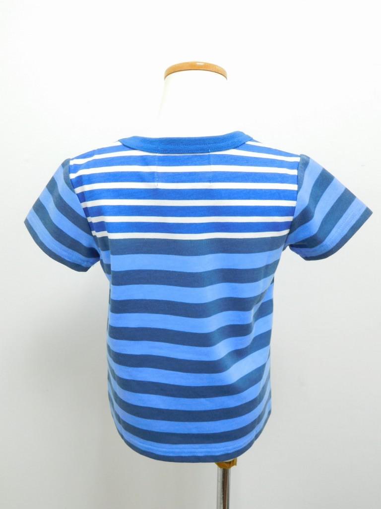 TBLU254d